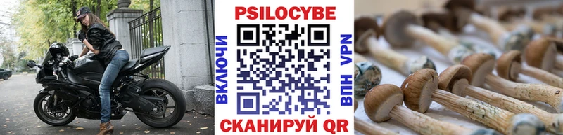 Купить где  Власиха  Псилоцибиновые грибы GOLDEN TEACHER 